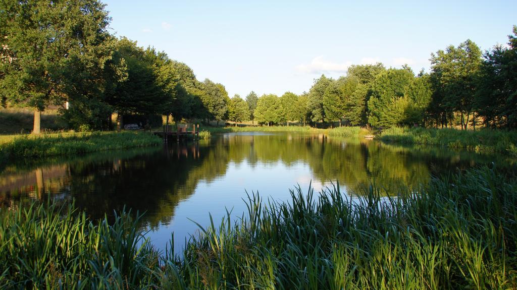 Vila Ferienhaus Am Flaumbach Blankenrath Exteriér fotografie