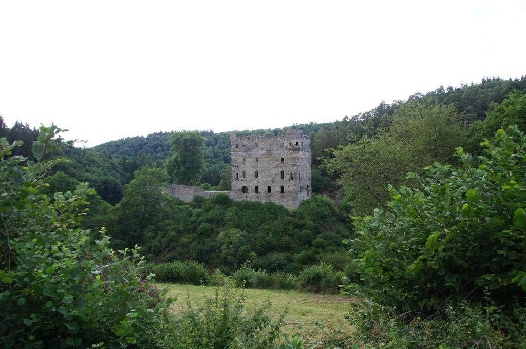 Vila Ferienhaus Am Flaumbach Blankenrath Exteriér fotografie