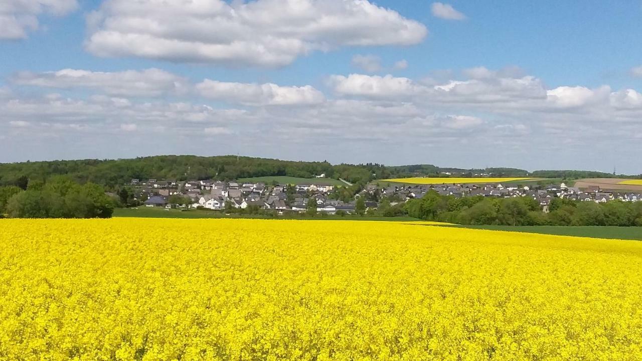 Vila Ferienhaus Am Flaumbach Blankenrath Exteriér fotografie